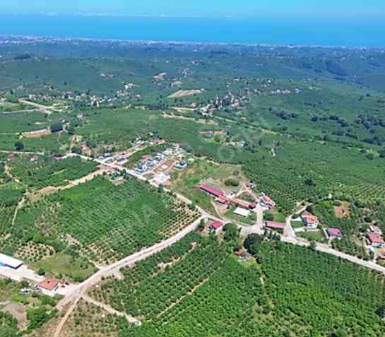 Sakarya Kocaali Karalar/Çobansayvant'ta Satılık 10.618 m² Deniz ve Doğa Manzaralı Yatırımlık Arsa / Arazi - Görsel 5