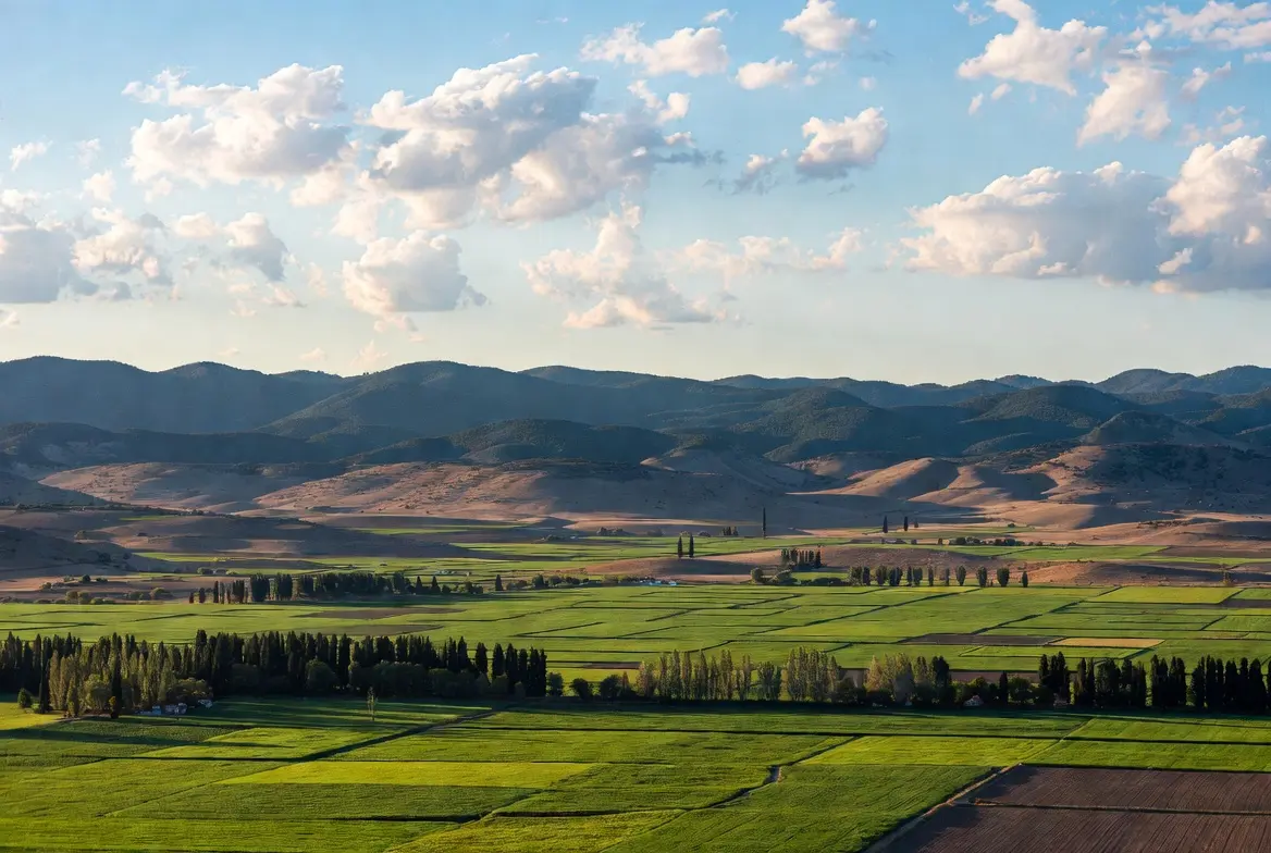 İsim : Sakarya’da Arsa mı Ev mi Yatırım İçin Daha Karlı? (2026 Analizi)