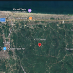 Kocaali Alandere'de 42 Dönüm Dev Çiftlik Arazisi | Evli ve Tam Altyapılı