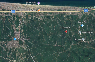 Kocaali Alandere'de Deniz Manzaralı, Yatırımlık 3.1 Dönüm Fındıklık