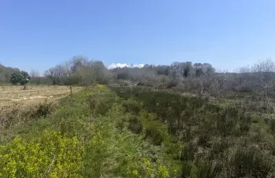 Kocaali Alandere’de 3 Kat Konut İmarlı, 348 m² Satılık Parsel