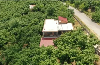 Sakarya Kocaali Bezirgan'da Asfalt Cepheli, Evli 7.600 m² Satılık Fındık Bahçesi