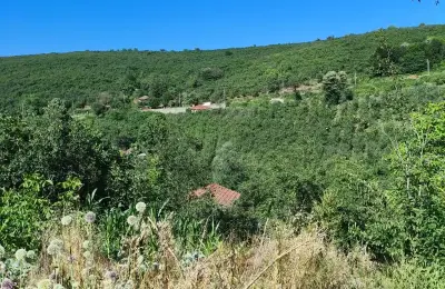 Sakarya Kocaali Hızar'da Çarşıya Yürüme Mesafesinde 2.380 m² Satılık Arsa