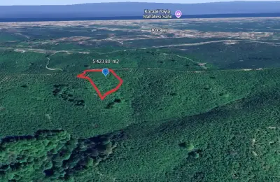 Kocaali Karşı Mahalle'de 10.800 m² Geniş Potansiyelli Fındık Bahçesi