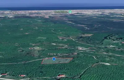 Sakarya Kocaali Karşı Mahalle'de 3.132 m² Satılık Verimli Fındık Bahçesi
