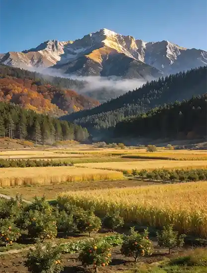 Akyazı